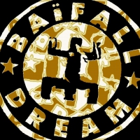 Logo Baifall Dream